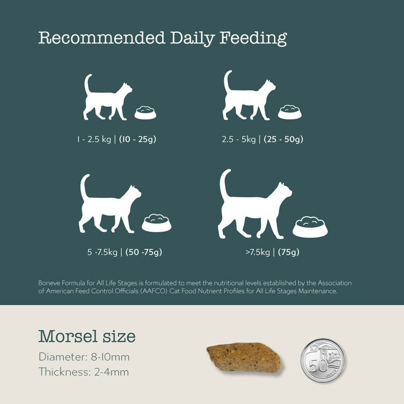 Boneve Earthmade Chicken & Salmon Freeze Dried Raw Cat Food - CreatureLand