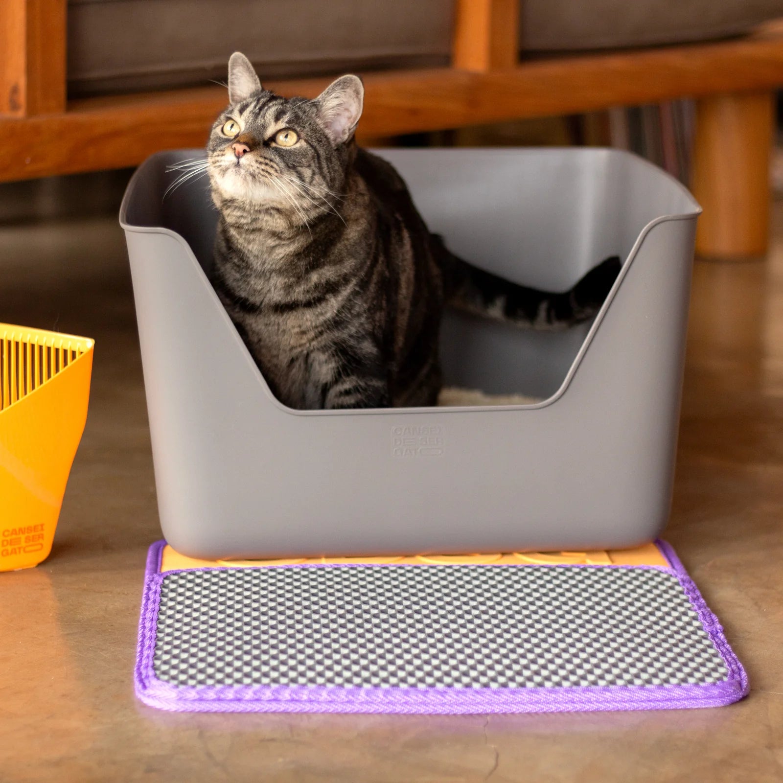 CDSG Dust Collector Cat Litter Mat