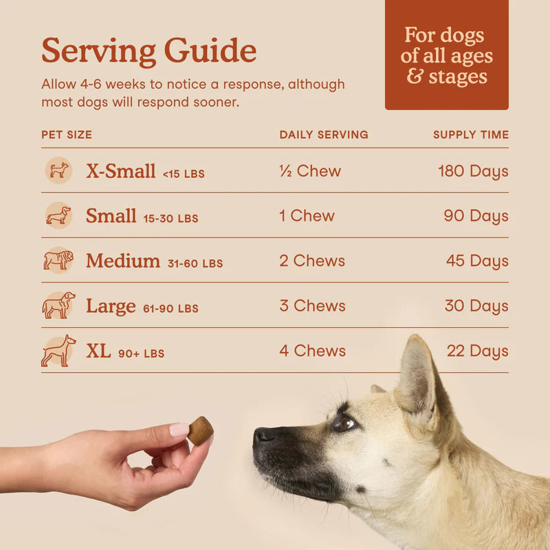 Probiotics Soft Chews For Dogs (90 Chews)