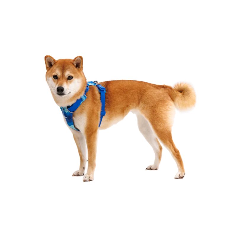 Front Range® Padded Dog Harness (8 Colours)