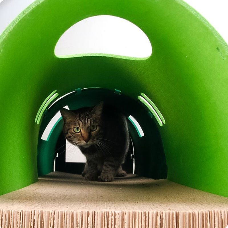 CreatureLand Paw Express Cat Scratcher (4 Designs) - CreatureLand