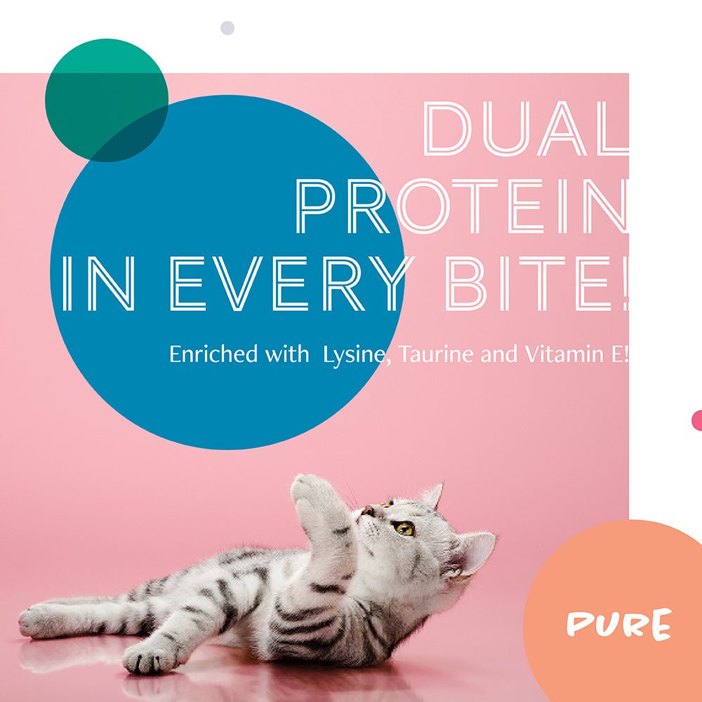 Daily Delight Pure Skipjack Tuna White & Chicken Wet Cat Food | Salmon (80g) - CreatureLand