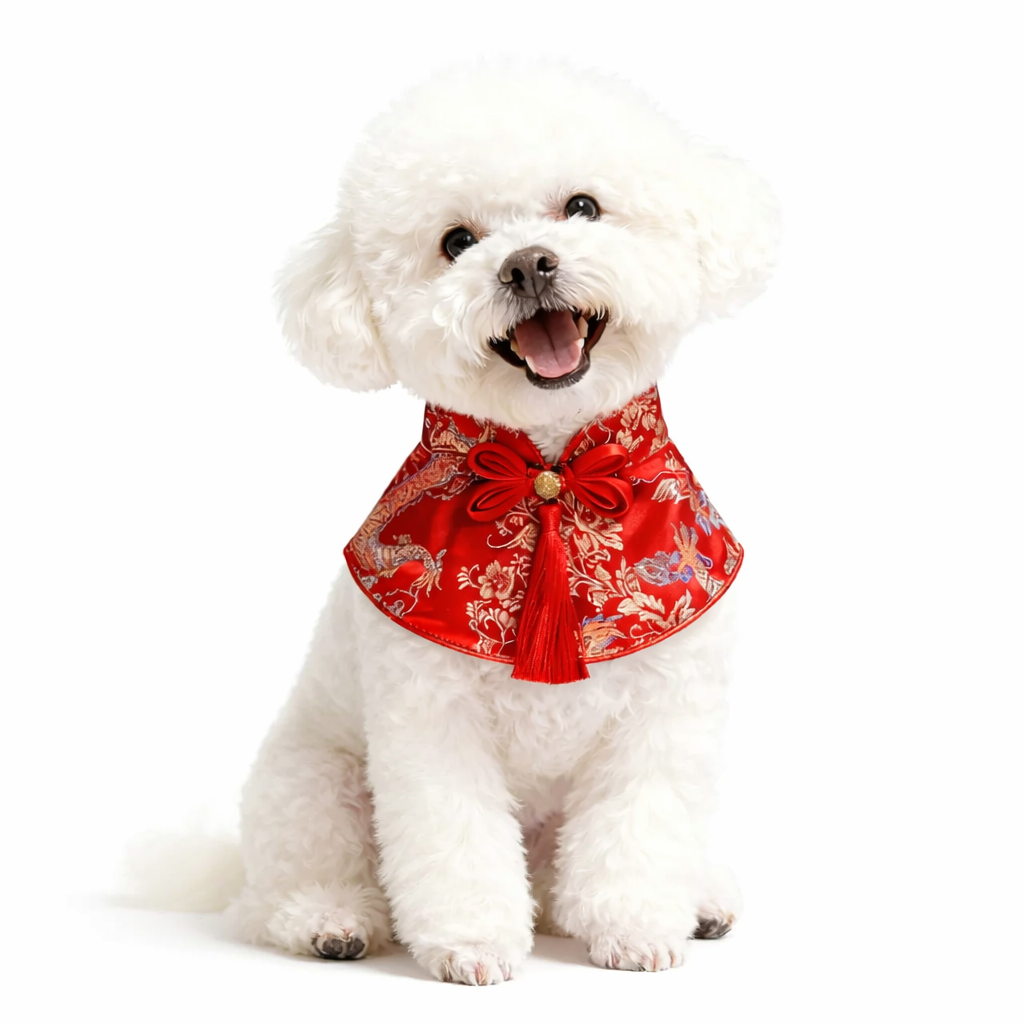 Fortune Charm Brocade Pet Cape (Red Dragon)