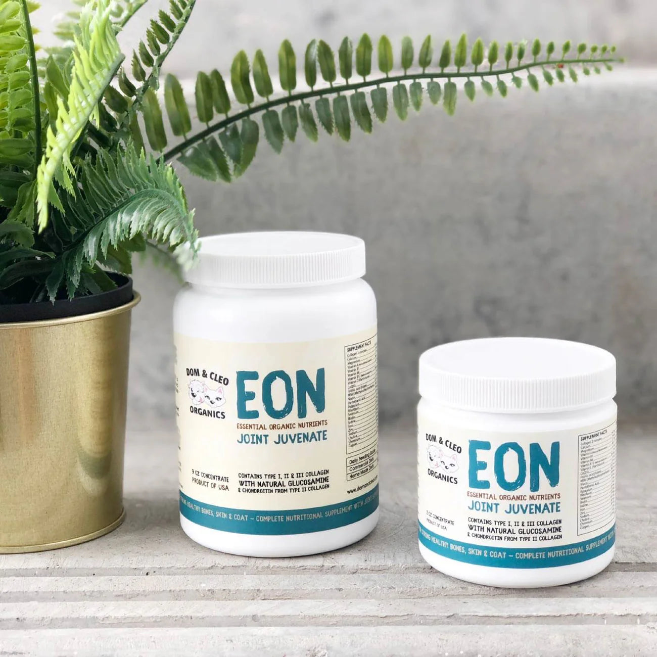 EON JointJuvenate (3/9oz)