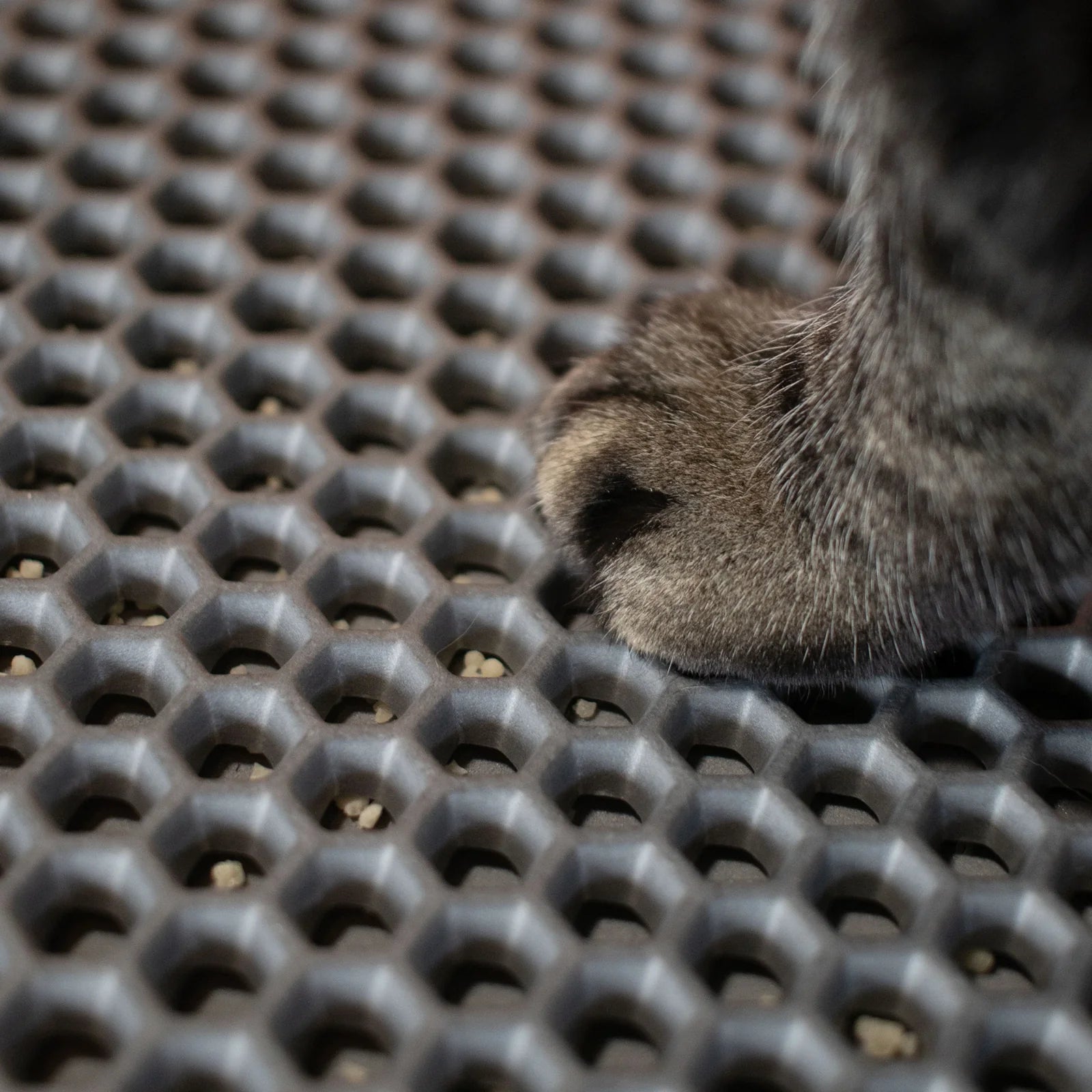 CDSG Dust Collector Cat Litter Mat
