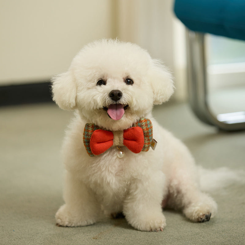 Candy Jellybon Pet Collar Clip (Bow)