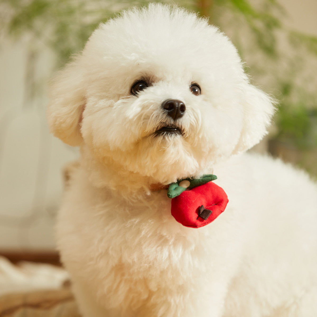 HIKOINU Apple & King Apple Pet Collar Clip - product photo 3