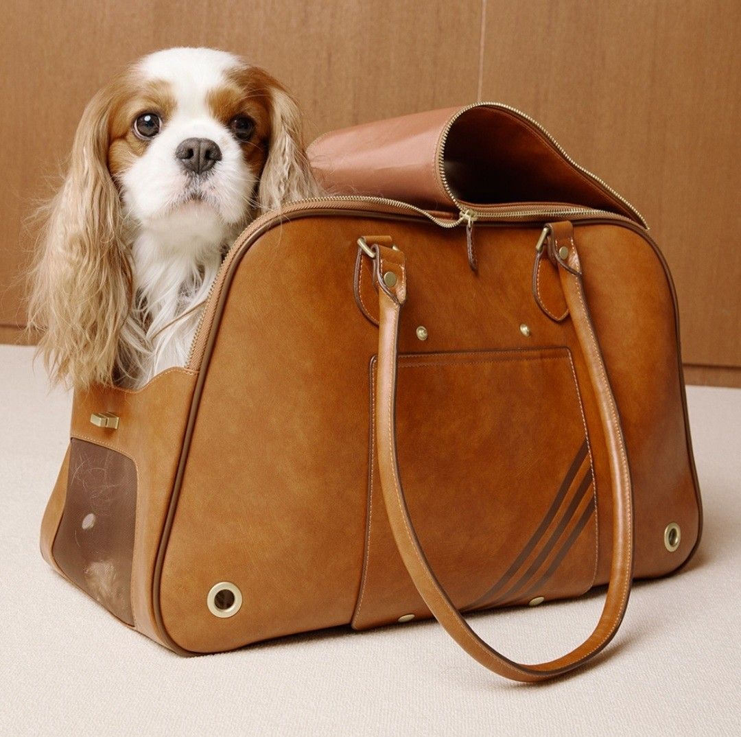Adidas Originals Pet Carrier in Brown