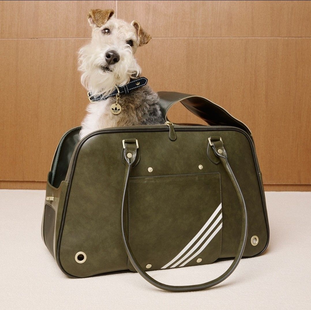 Adidas Originals Pet Carrier in Olive Green