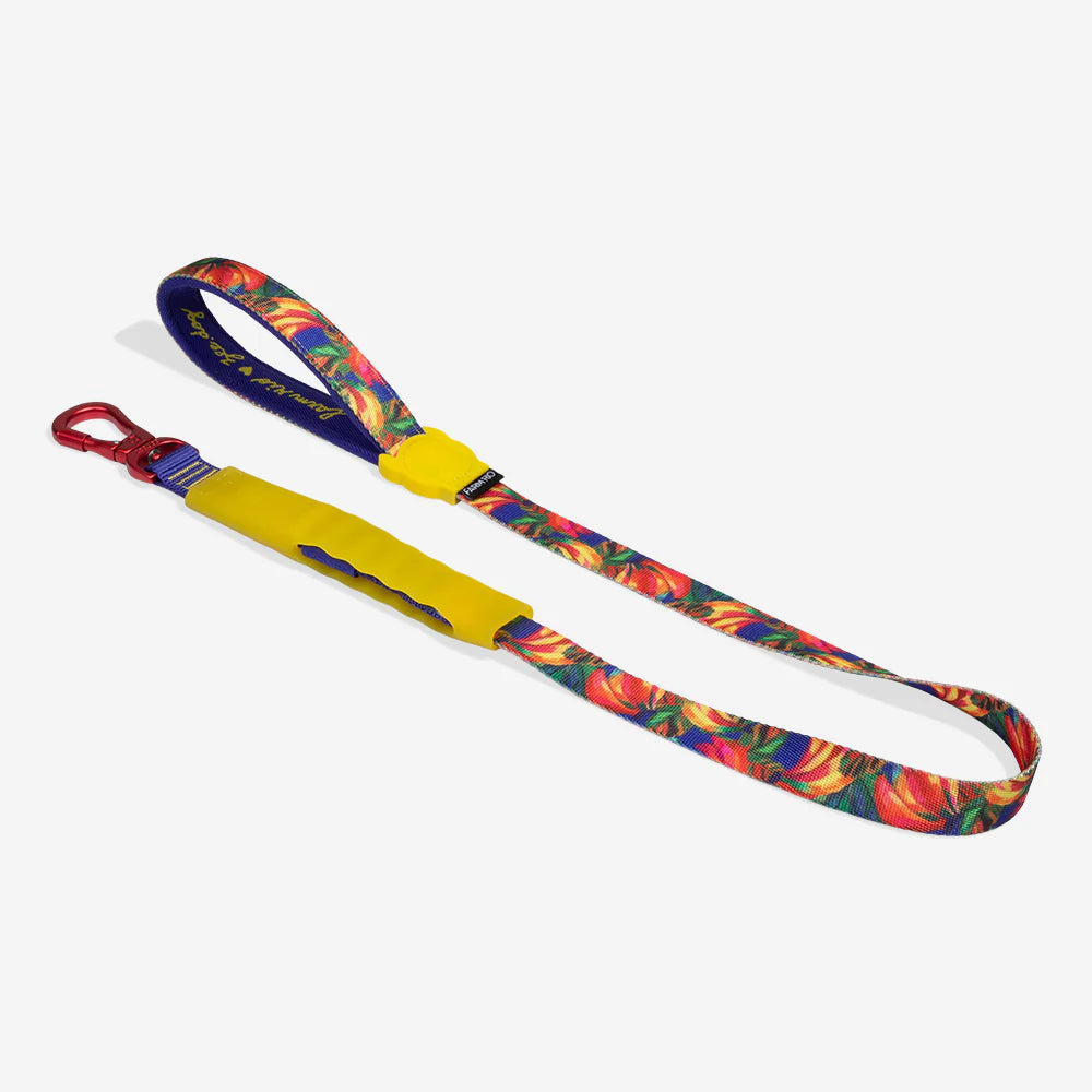 Farm Rio x Zee.Dog Samba Dog Air-Leash