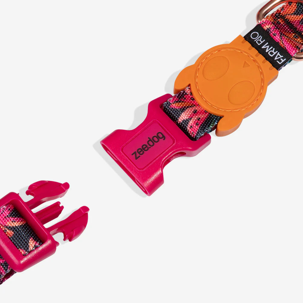Farm Rio x Zee.Dog Selva Dog Collar
