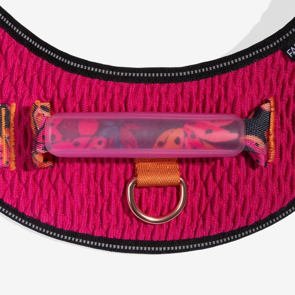 Farm Rio x Zee.Dog Selva Fly Dog Harness