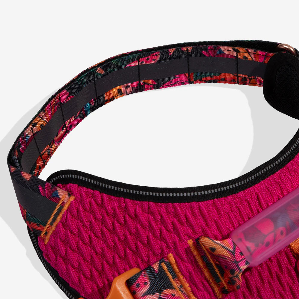 Farm Rio x Zee.Dog Selva Fly Dog Harness