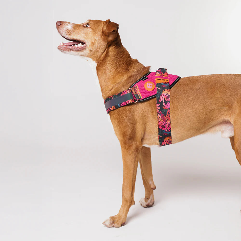 Farm Rio x Zee.Dog Selva Fly Dog Harness