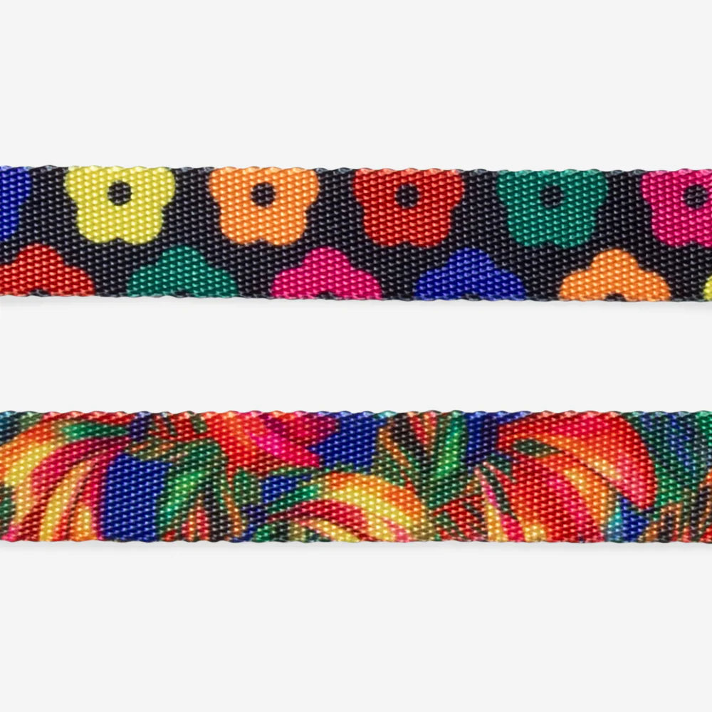 Farm Rio x Zee.Dog Samba Dog Leash