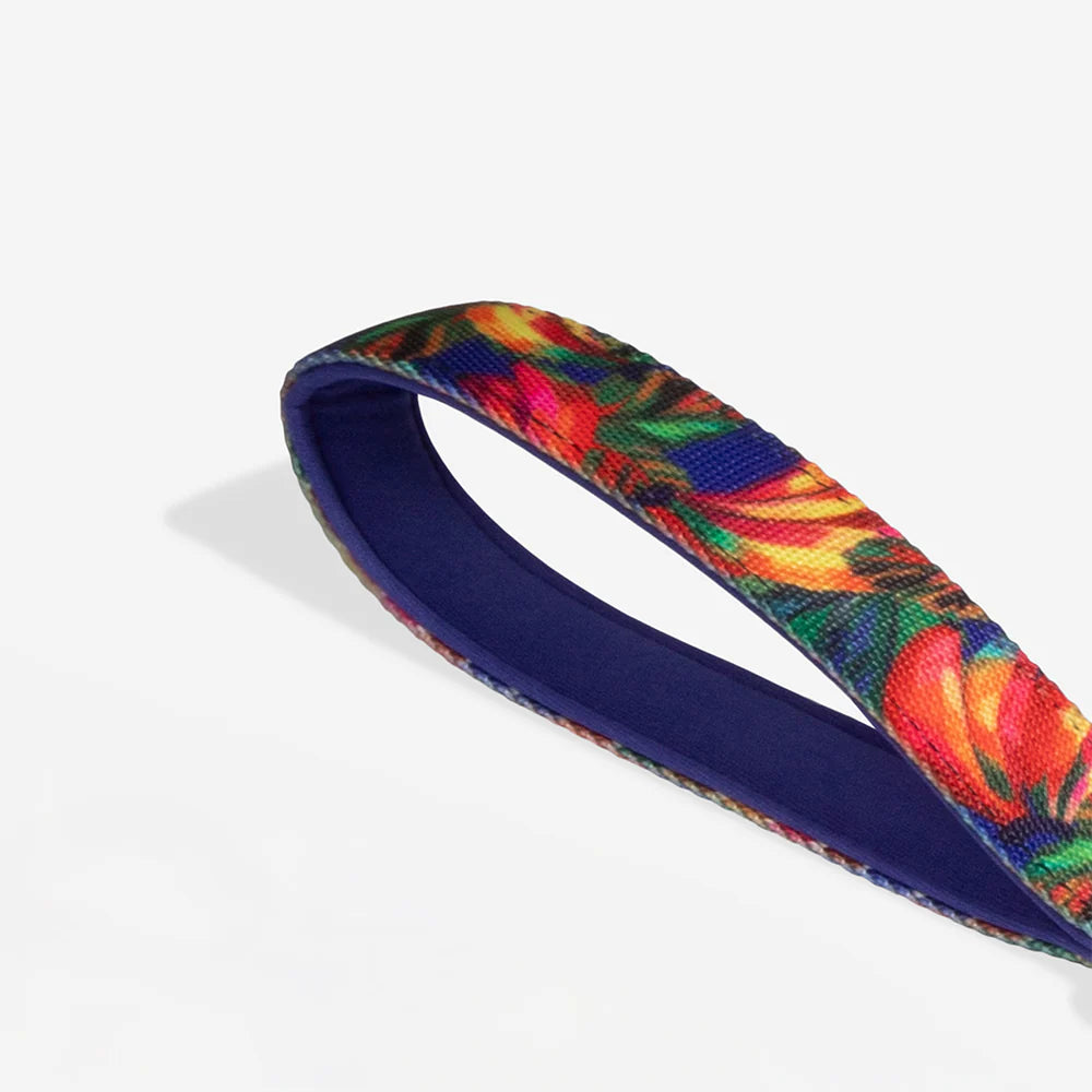 Farm Rio x Zee.Dog Samba Ruff Dog Leash