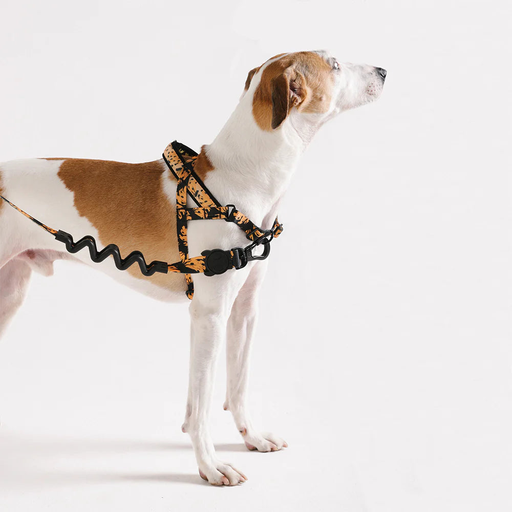 Farm Rio x Zee.Dog Bossa Banana Softer Walk Dog Harness