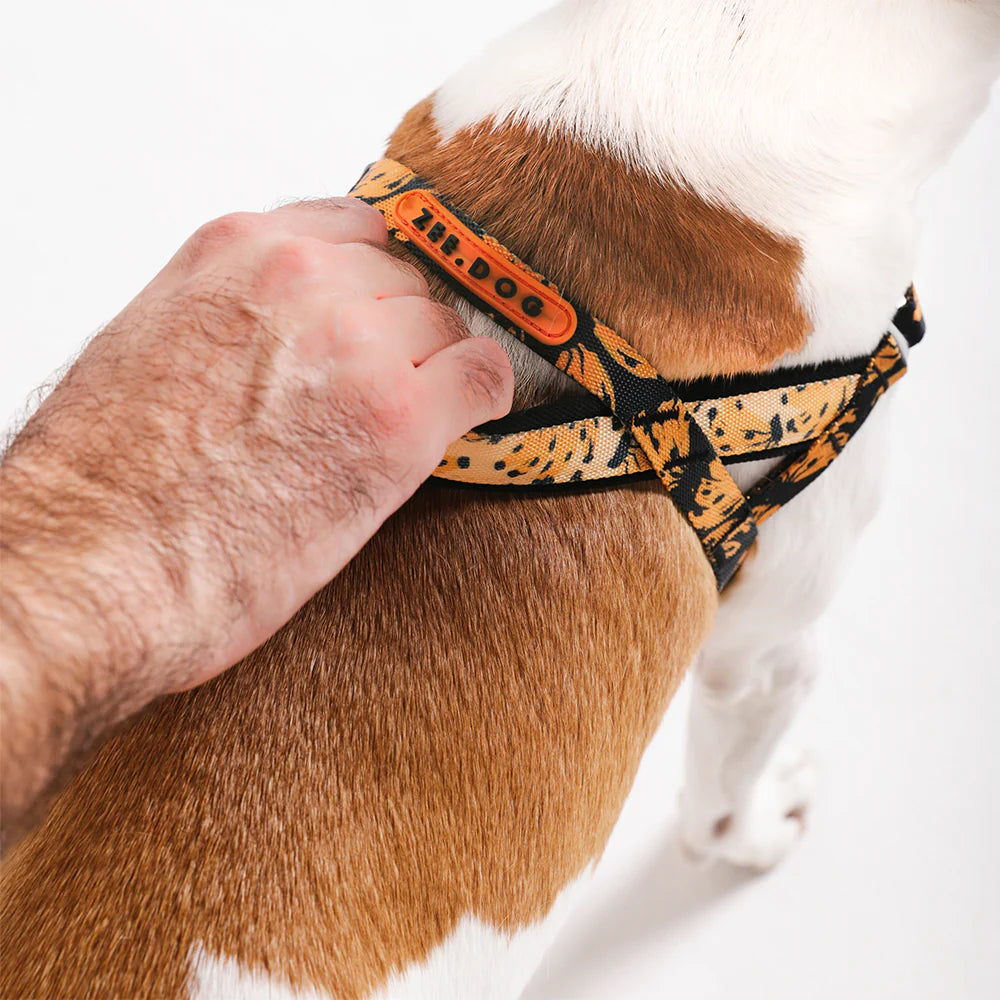 Farm Rio x Zee.Dog Bossa Banana Softer Walk Dog Harness