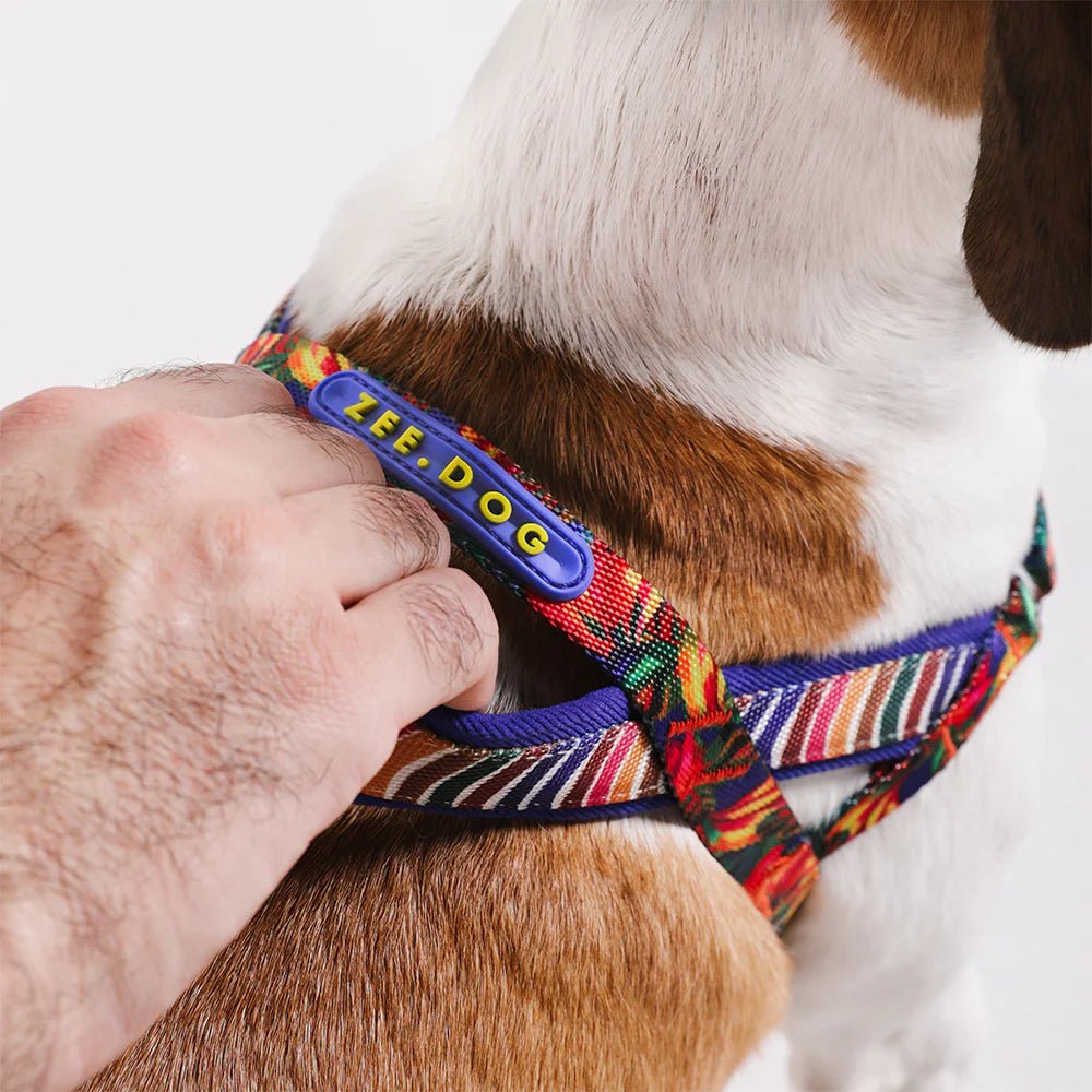 Farm Rio x Zee.Dog Samba Softer Walk Dog Harness