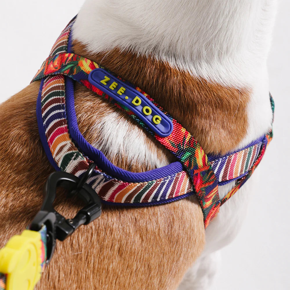 Farm Rio x Zee.Dog Samba Softer Walk Dog Harness