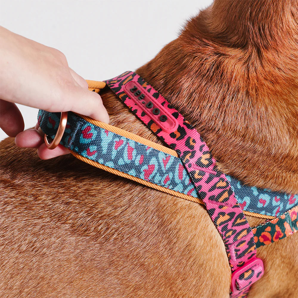 Farm Rio x Zee.Dog Selva Softer Walk Harness