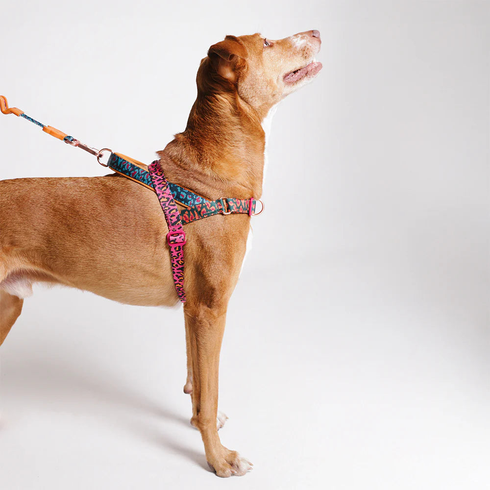 Farm Rio x Zee.Dog Selva Softer Walk Harness