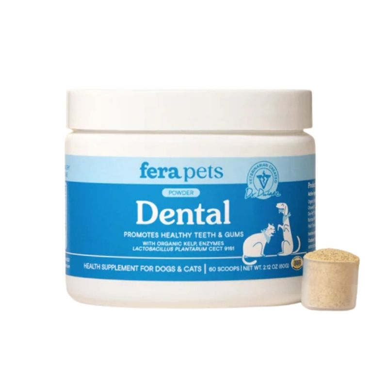 Dental Support For Cats & Dogs