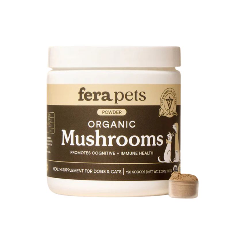 Mushroom Blend for Immune Support For Dogs and Cats