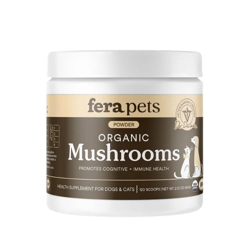 Mushroom Blend for Immune Support For Dogs and Cats