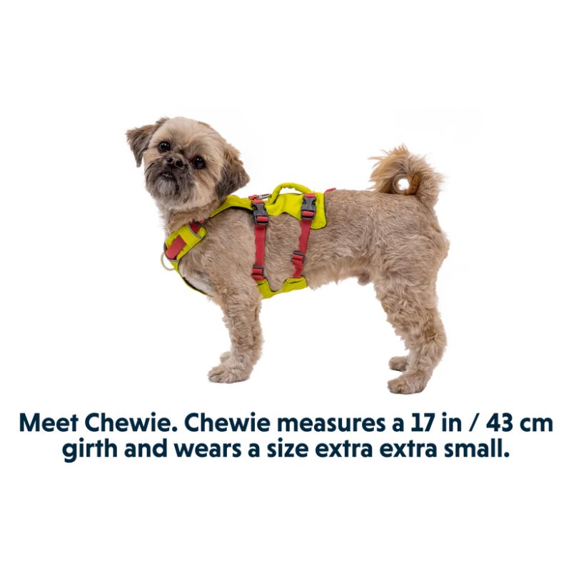Flagline™ Lightweight & Multi-Use Dog Harness with Handle (4 Colours)
