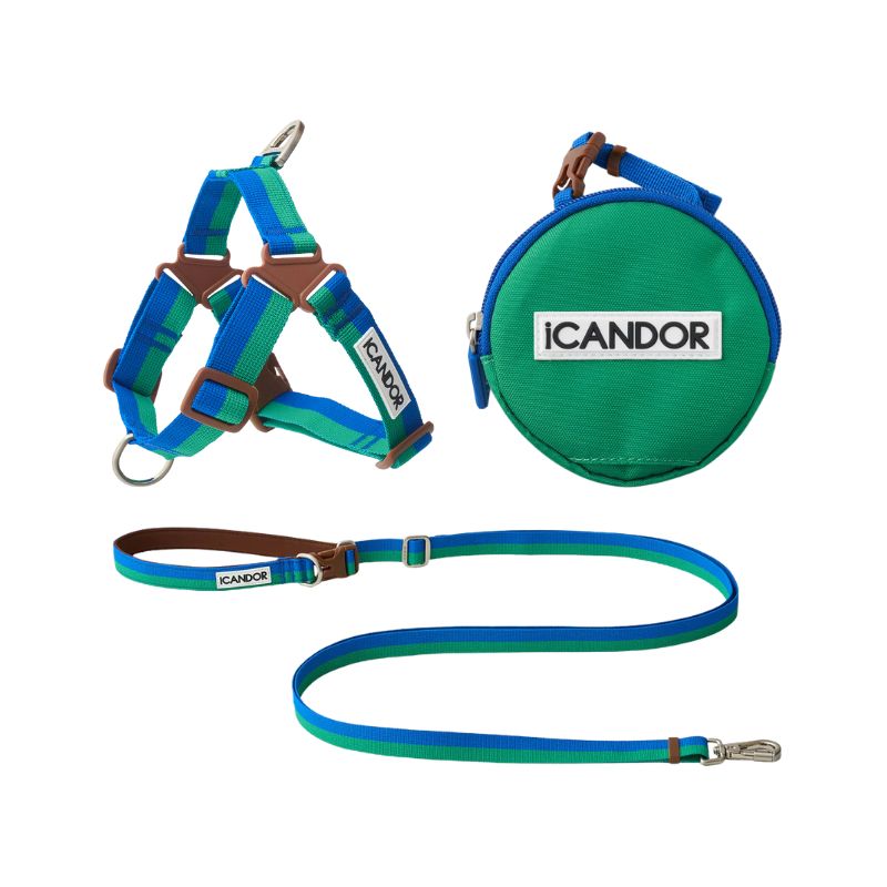 iCandor 3-in-1 Walking Kit: Forest
