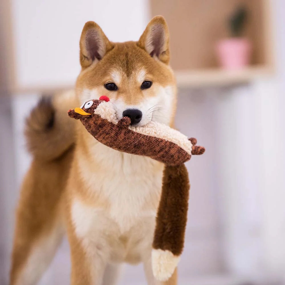 Plush Friendz | Raccoon with Sponge Squeaker