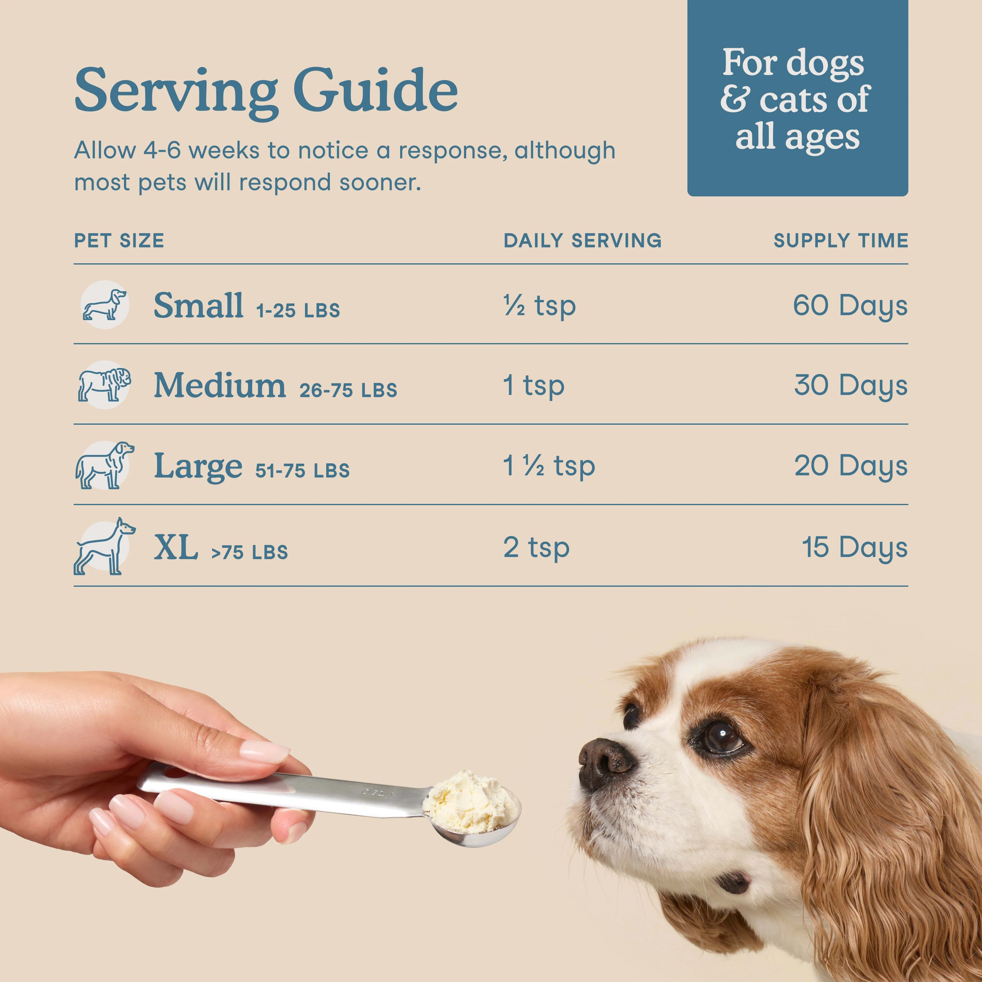 Collagen Plus For Dogs and Cats