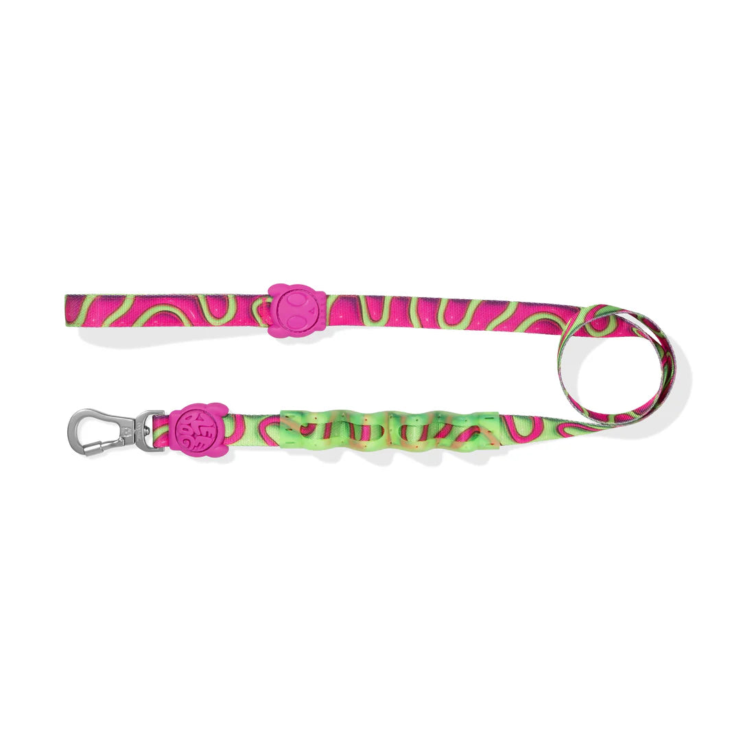 H3D Jelly Ruff Dog Leash