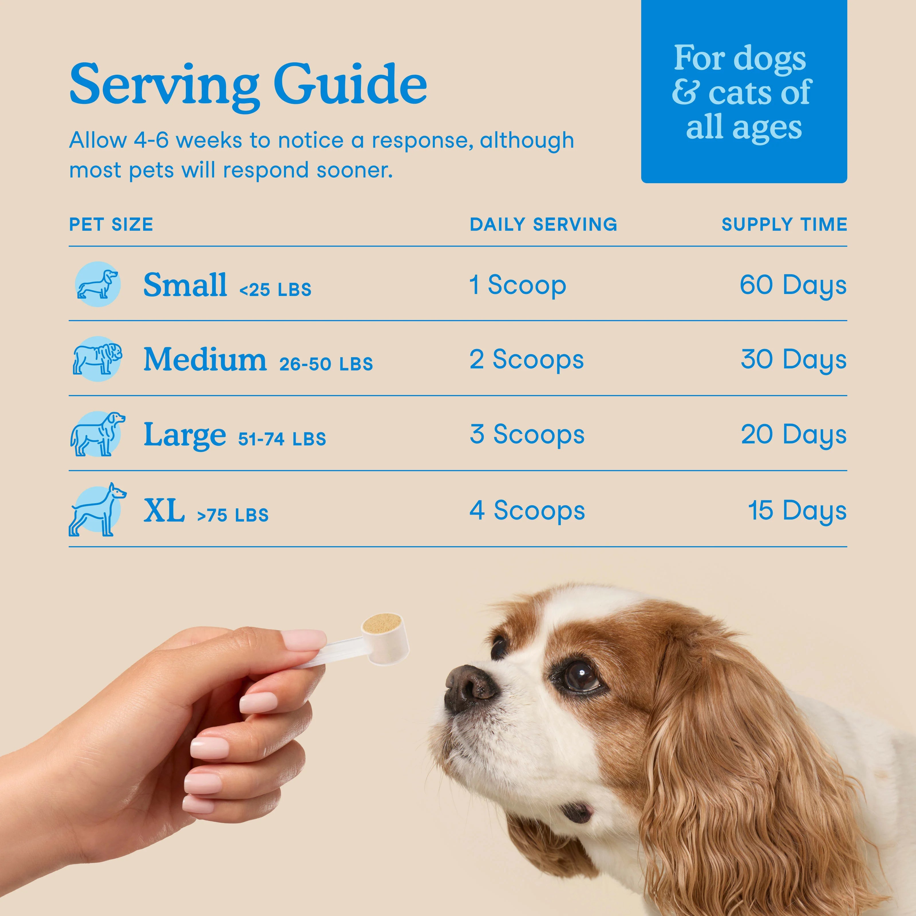 Dental Support For Cats & Dogs