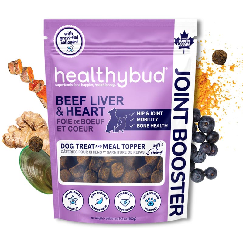 Healthybud Functional Beef Joint Booster Dog Treats/Topper (130g) - CreatureLand