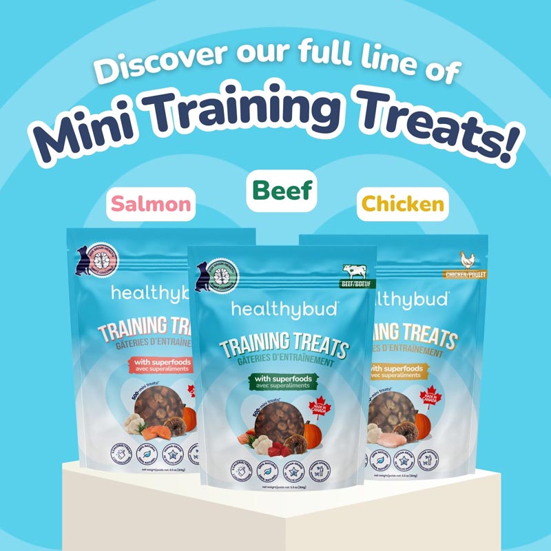 Healthybud Functional Beef Mini Training Dog Treats (184g) - CreatureLand