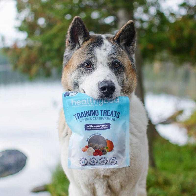 Healthybud Functional Beef Mini Training Dog Treats (184g) - CreatureLand