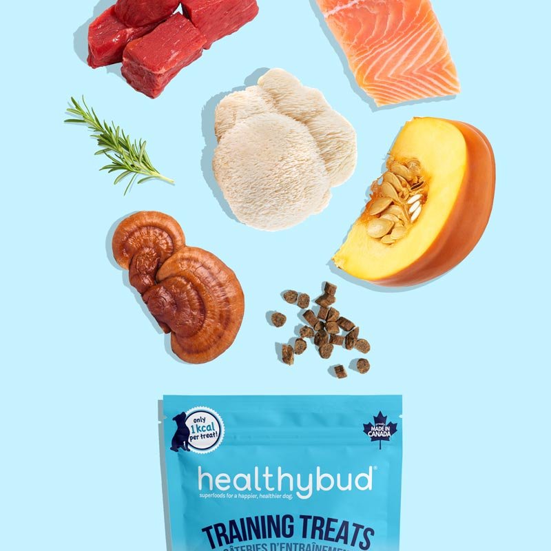 Healthybud Functional Beef Mini Training Dog Treats (184g) - CreatureLand