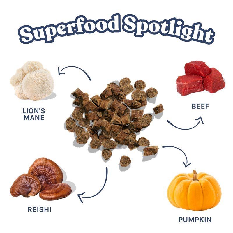 Healthybud Functional Beef Mini Training Dog Treats (184g) - CreatureLand