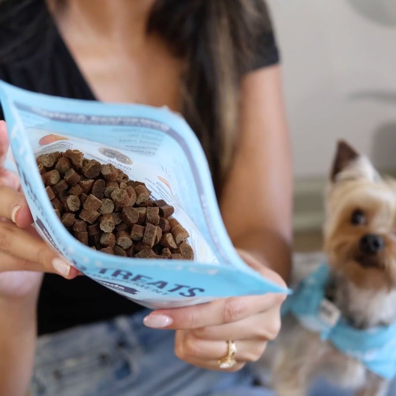 Healthybud Functional Salmon Mini Training Dog Treats (184g) - CreatureLand