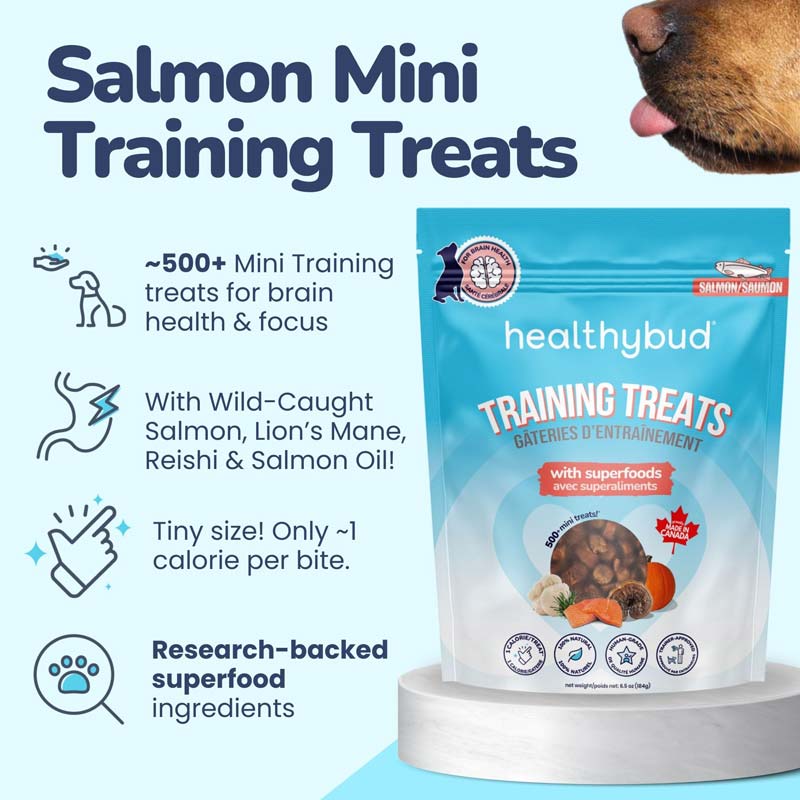 Healthybud Functional Salmon Mini Training Dog Treats (184g) - CreatureLand