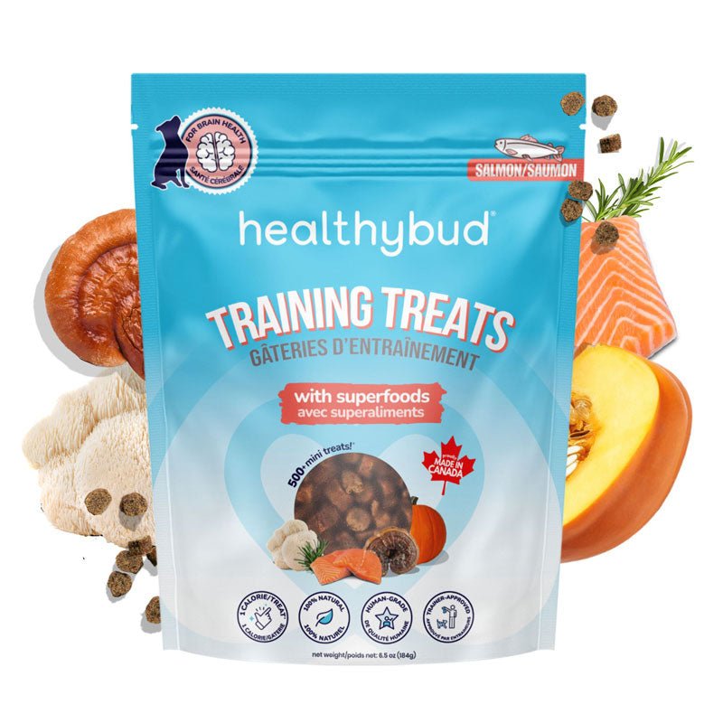Healthybud Functional Salmon Mini Training Dog Treats (184g) - CreatureLand