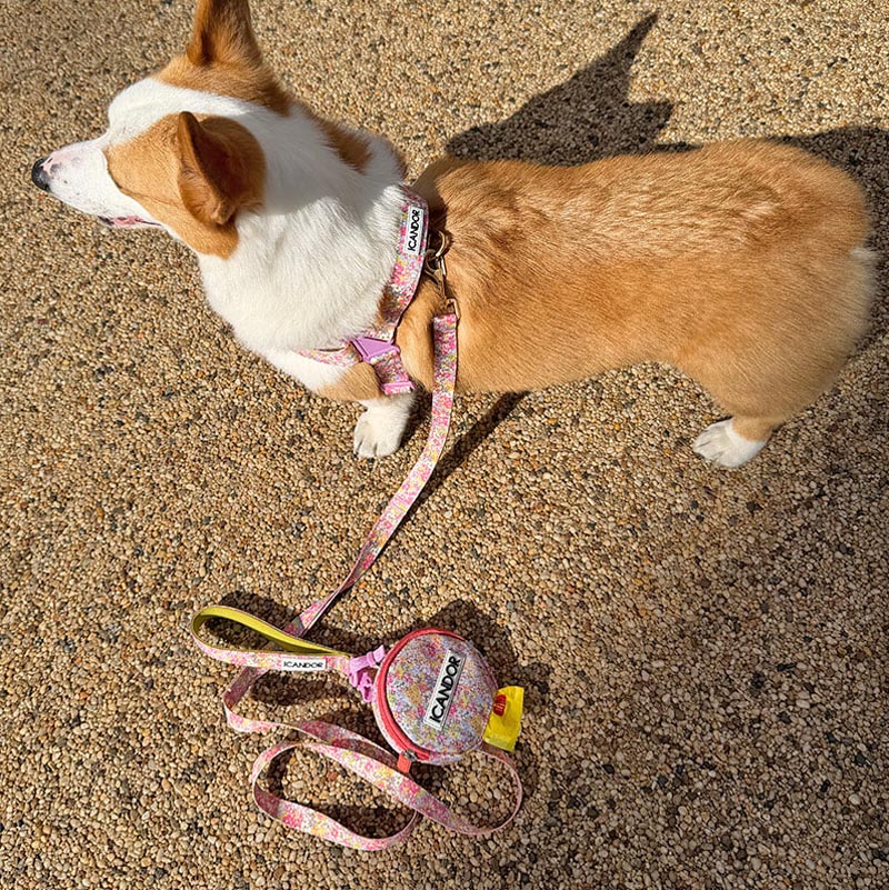 Dingle Dangle Poop Bag Carrier | Flora