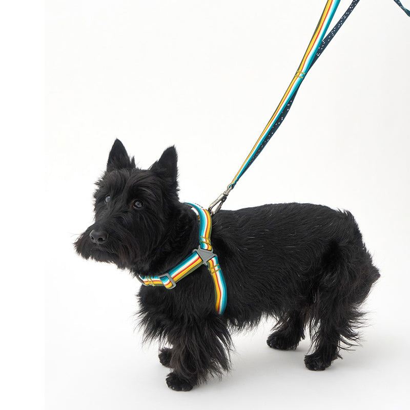 No-Pull Harness | Ripple