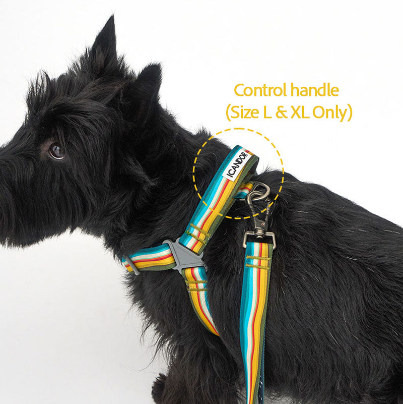No-Pull Harness | Ripple