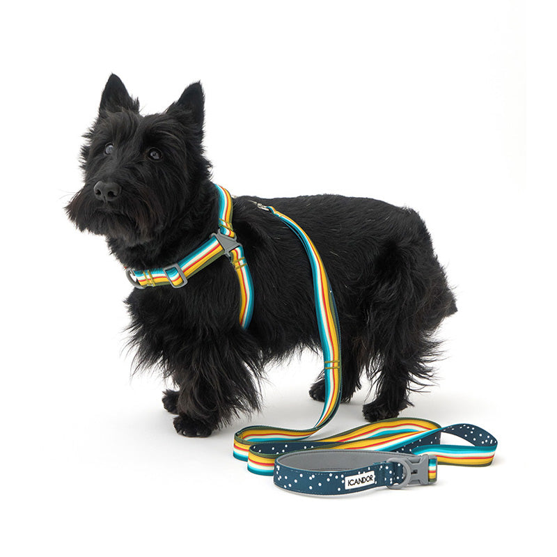 No-Pull Harness | Ripple