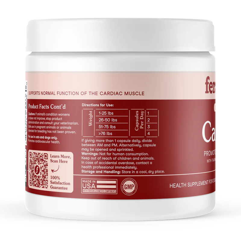 Cardiac Support for Dogs and Cats