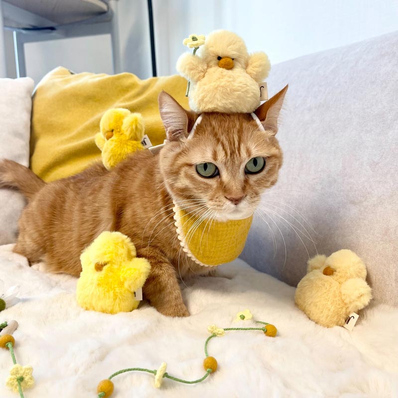 Chick Squeaky Catnip Toy (Set of 3)