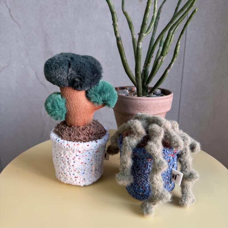 Pot Series Catnip Toy (6 Designs)